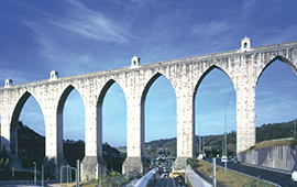 Immigration Services